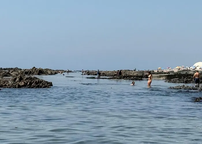 Apartman Encantador, Com Piscina E Vista Mar - Ocean View