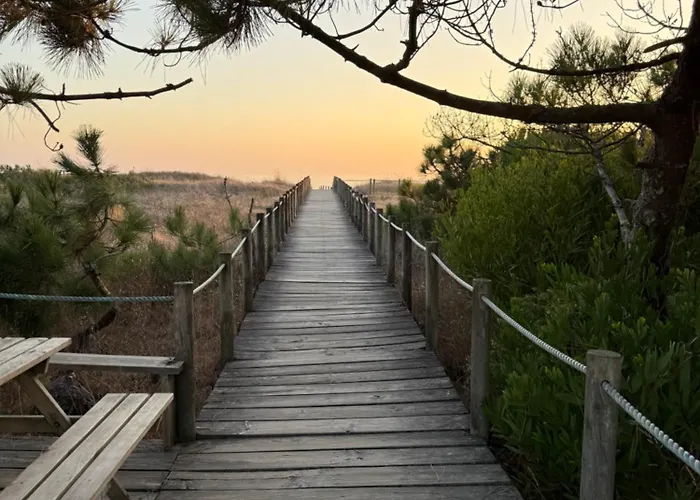 Encantador, Com Piscina E Vista Mar - Ocean View Apartman *